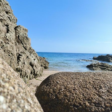 Le 3 Appartement Vue Mer Avec Jardin 100M De La Plage Et De La Thalasso Concarneau Εξωτερικό φωτογραφία