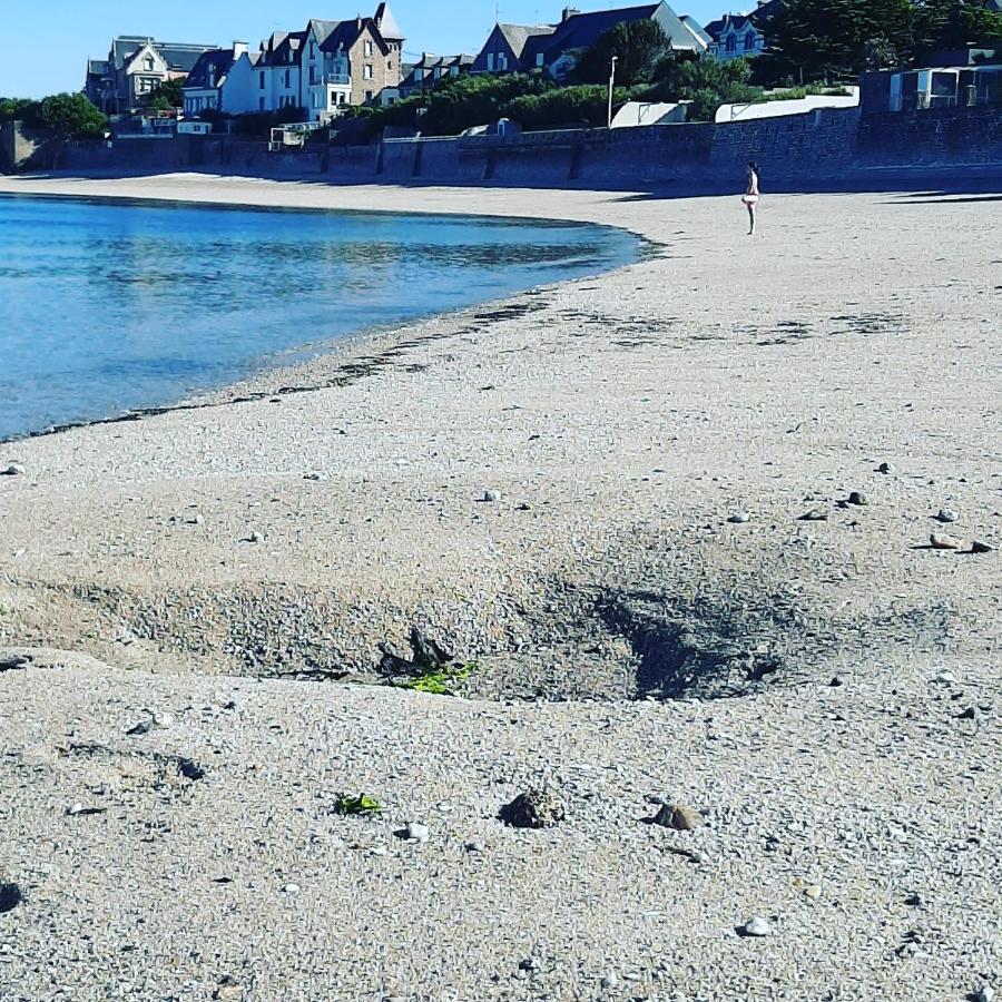 Le 3 Appartement Vue Mer Avec Jardin 100M De La Plage Et De La Thalasso Concarneau Εξωτερικό φωτογραφία