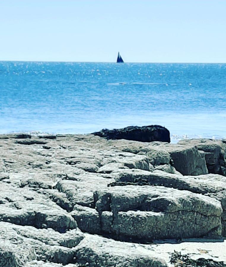 Le 3 Appartement Vue Mer Avec Jardin 100M De La Plage Et De La Thalasso Concarneau Εξωτερικό φωτογραφία