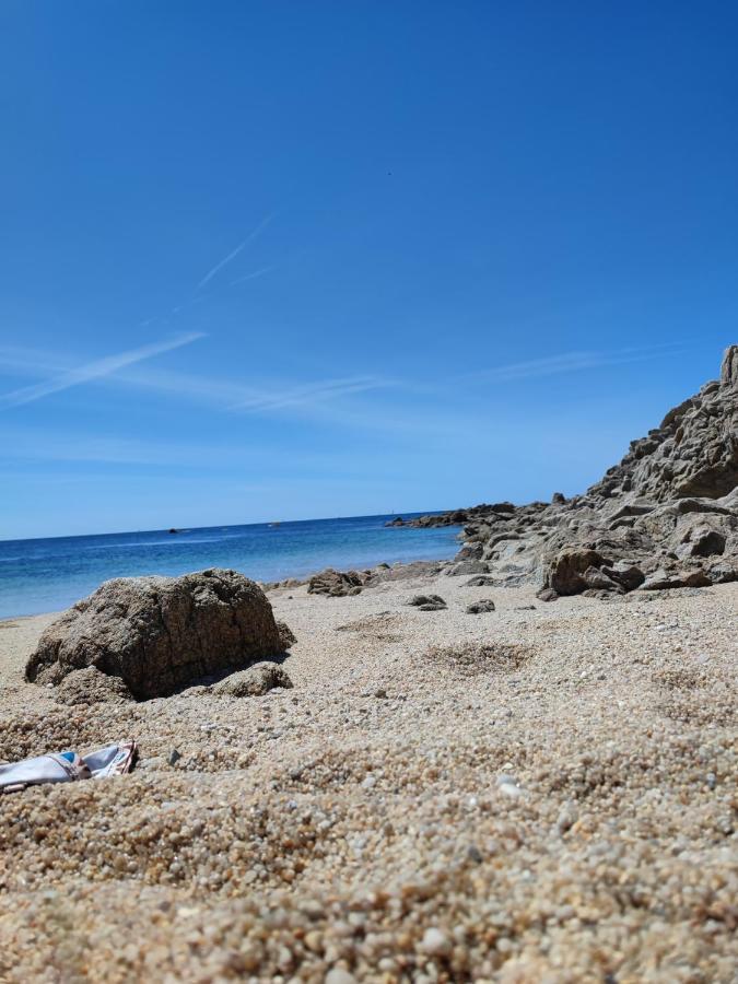 Le 3 Appartement Vue Mer Avec Jardin 100M De La Plage Et De La Thalasso Concarneau Εξωτερικό φωτογραφία