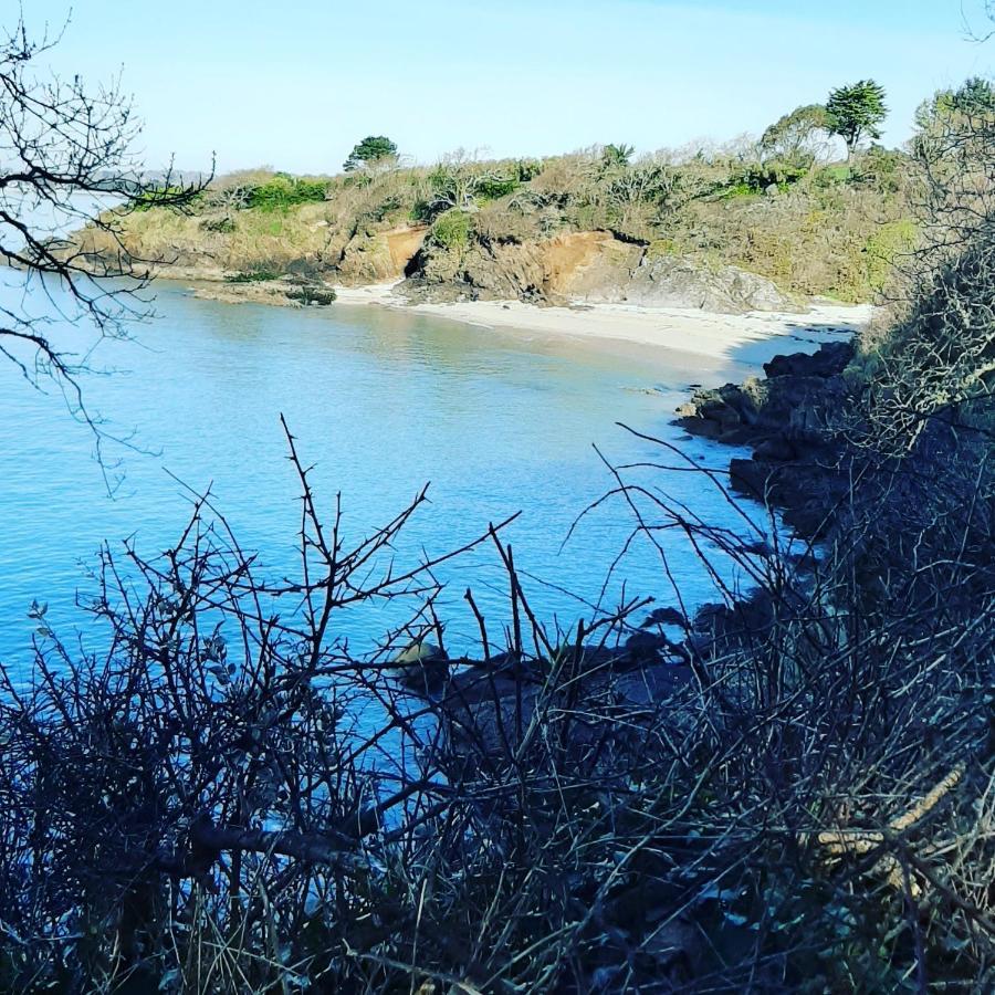 Le 3 Appartement Vue Mer Avec Jardin 100M De La Plage Et De La Thalasso Concarneau Εξωτερικό φωτογραφία