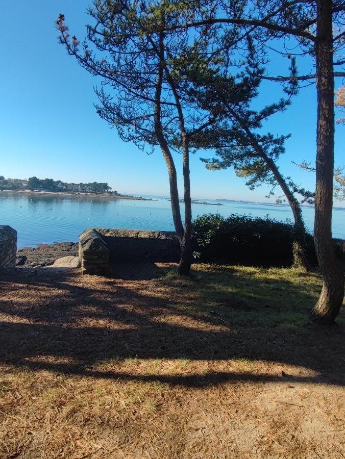 Le 3 Appartement Vue Mer Avec Jardin 100M De La Plage Et De La Thalasso Concarneau Εξωτερικό φωτογραφία