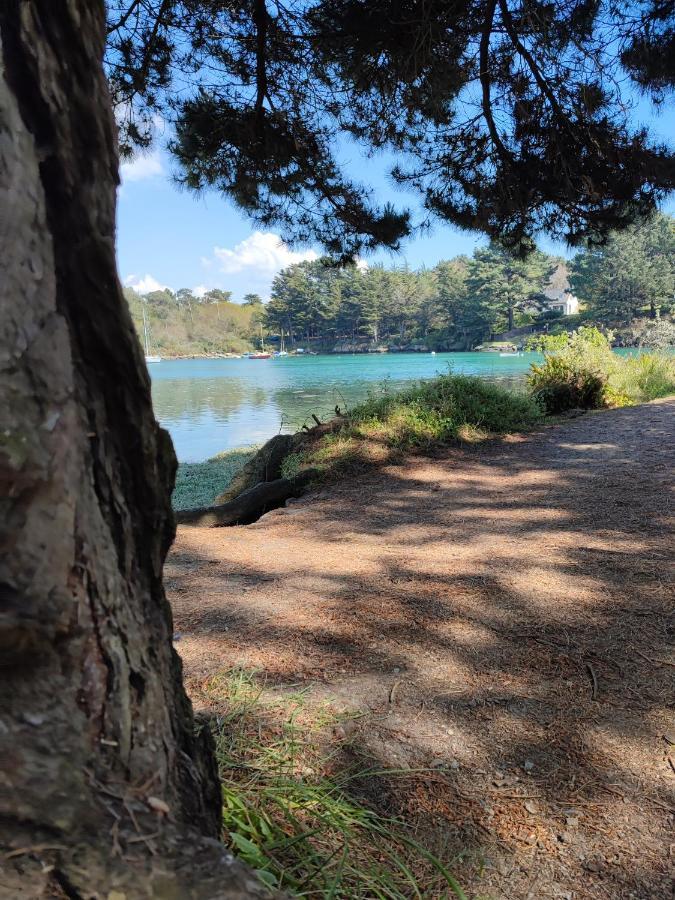 Le 3 Appartement Vue Mer Avec Jardin 100M De La Plage Et De La Thalasso Concarneau Εξωτερικό φωτογραφία